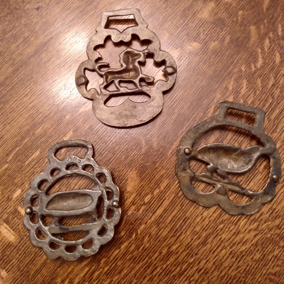 Show Some Brass! Horse Tack Medallion: Lion - Picture 3 of 5